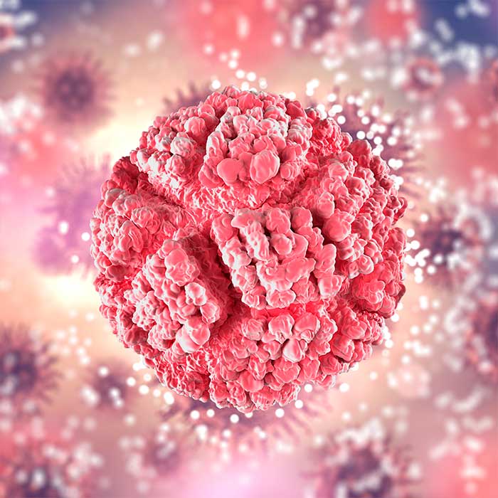 vph-2-patologias-umr